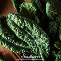Lacinato "Dinosaur" Kale – 250 Seeds | | Wiccan Center