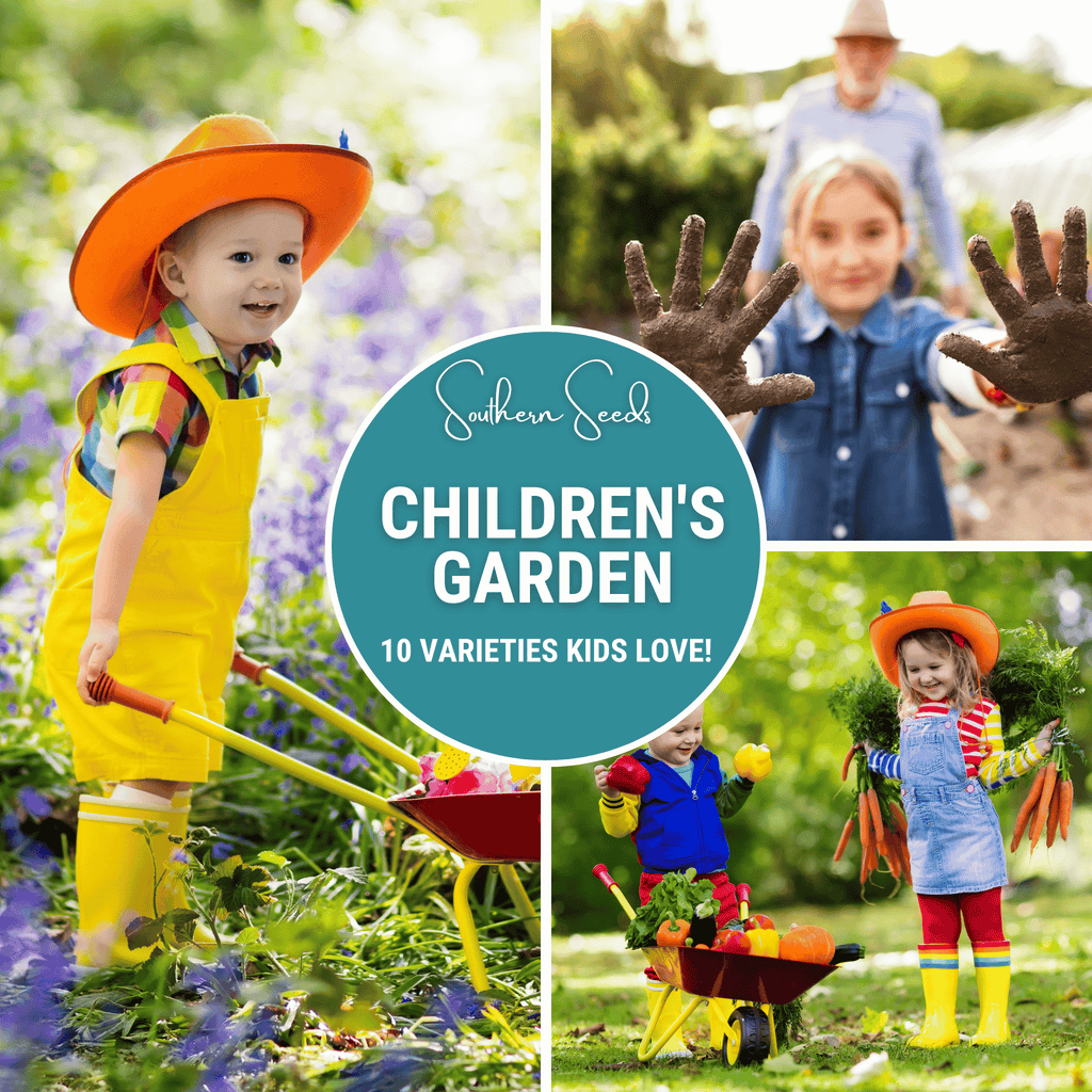 Kids Garden Seed Collection – 10 Varieties | Seeds | Wiccan Center