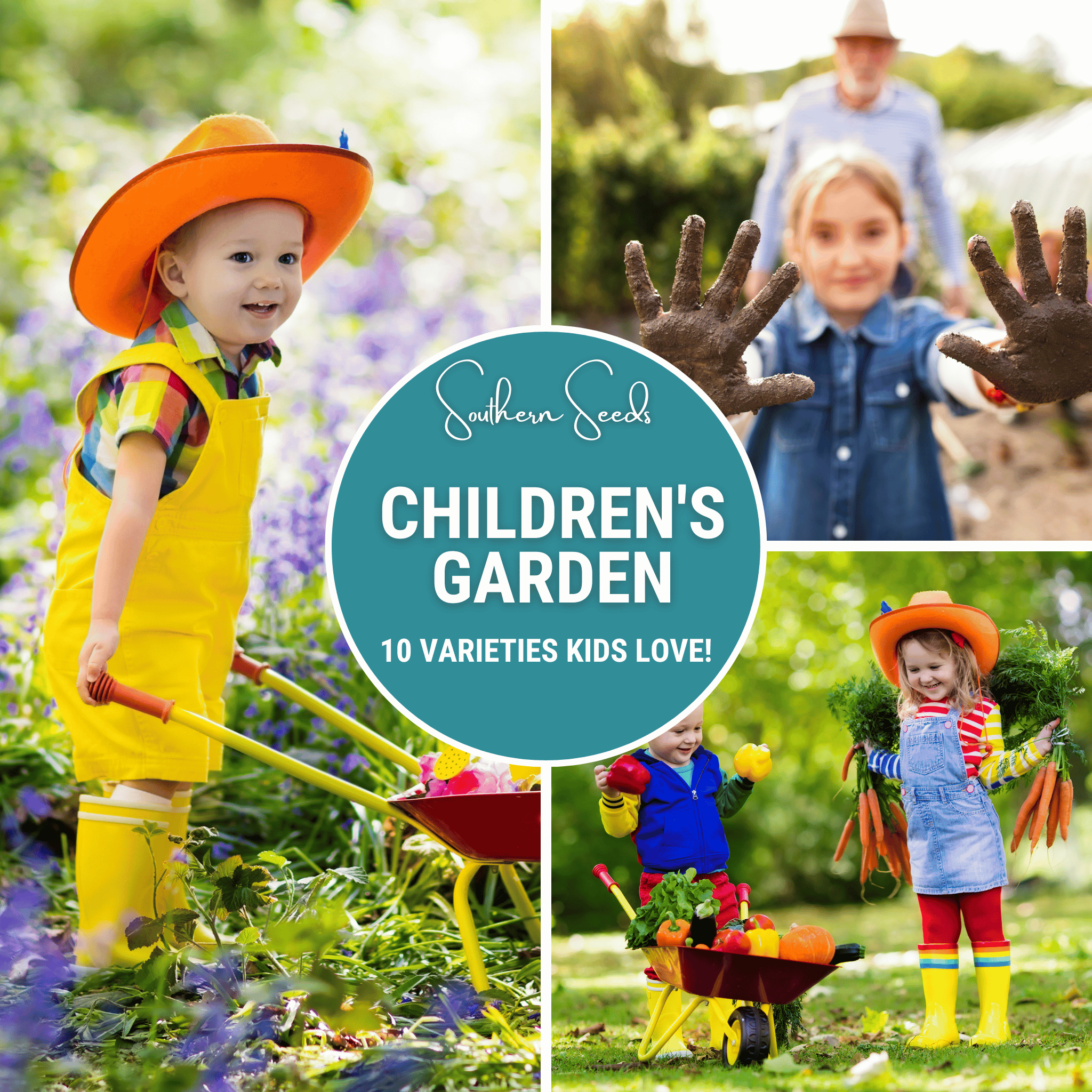 Kids Garden Seed Collection – 10 Varieties | Seeds | Wiccan Center