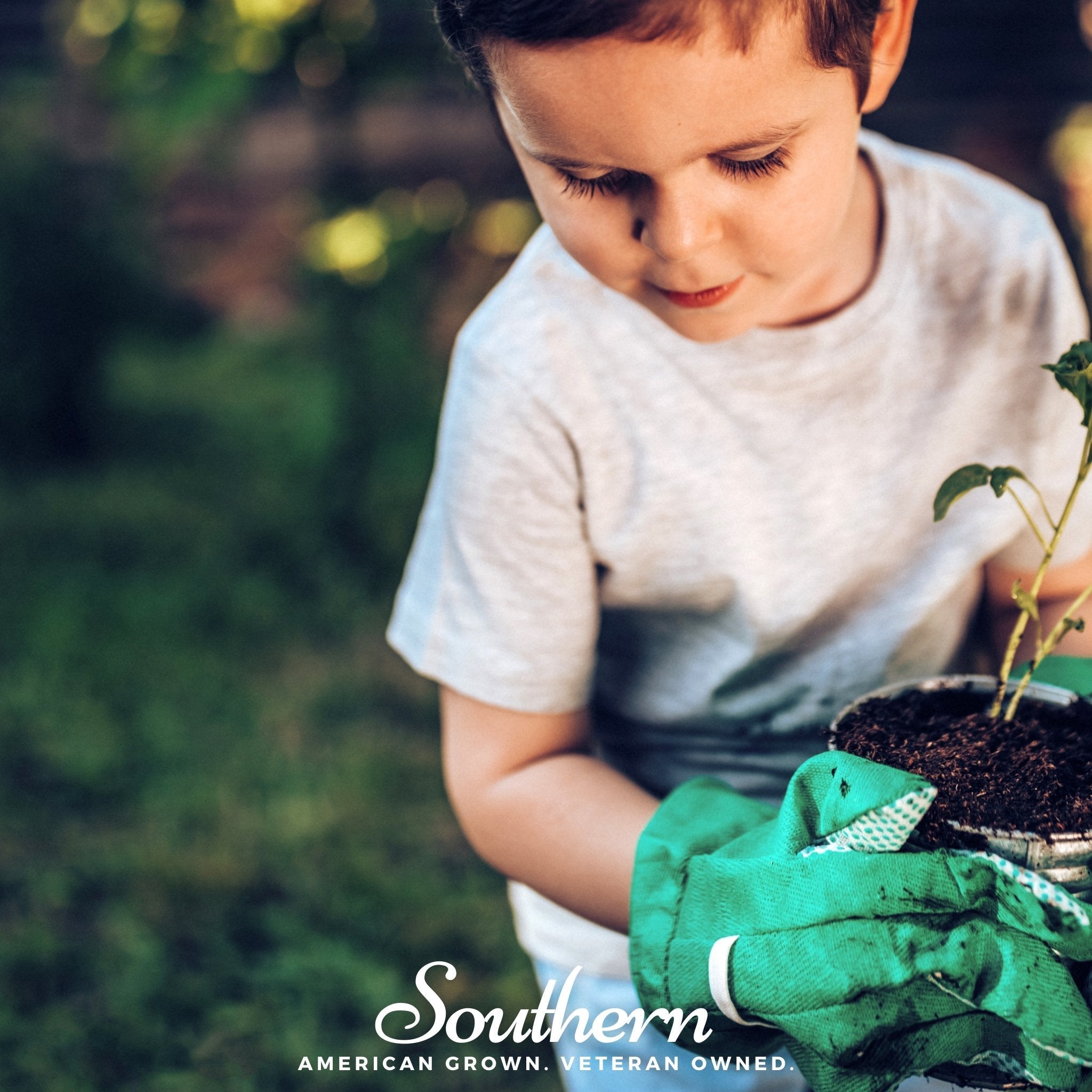 Kids Garden Seed Collection – 10 Varieties | Seeds | Wiccan Center
