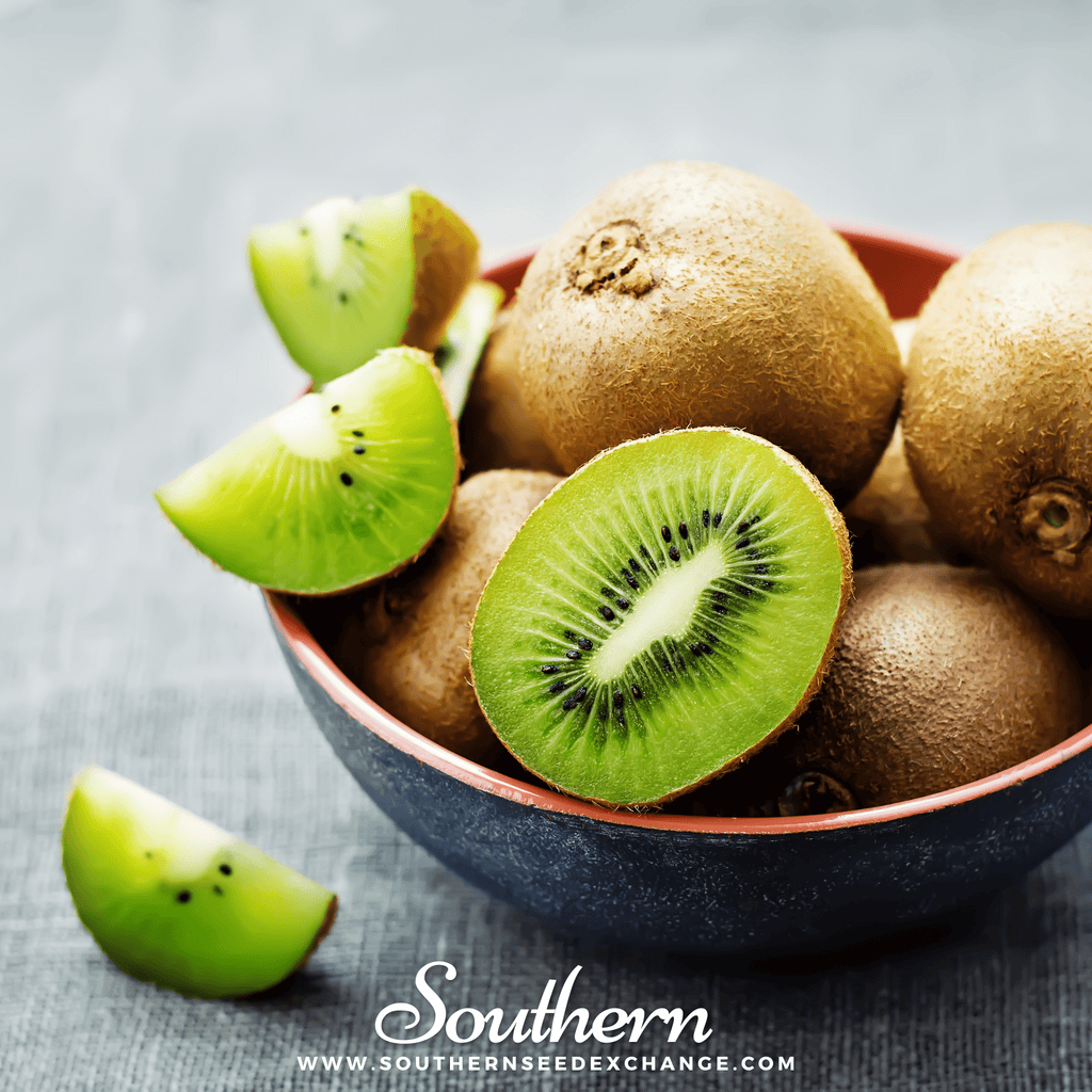 Kiwi Fruit – 100 Seeds | | Wiccan Center