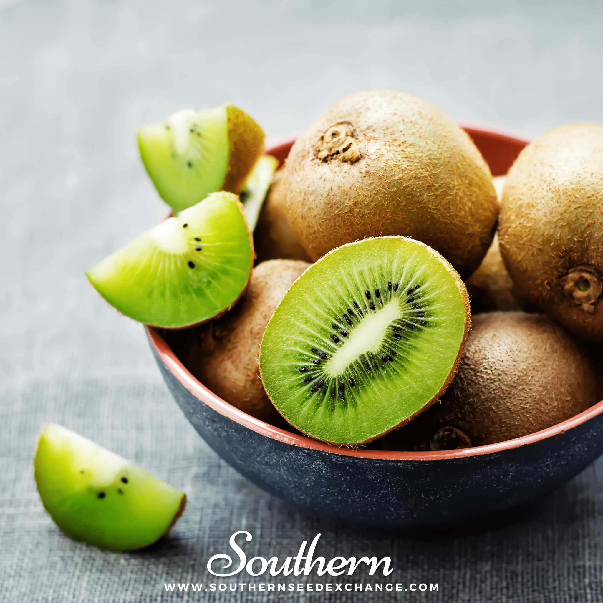 Kiwi Fruit – 100 Seeds | | Wiccan Center
