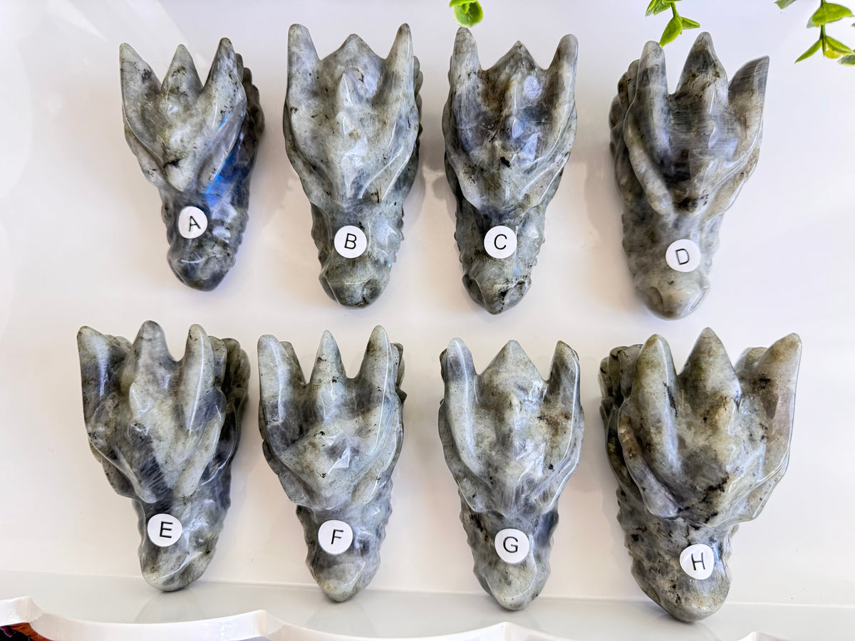 Labradorite Dragon Head (A) for Transitions, 3.5 Inch, Option A, Blue Flash