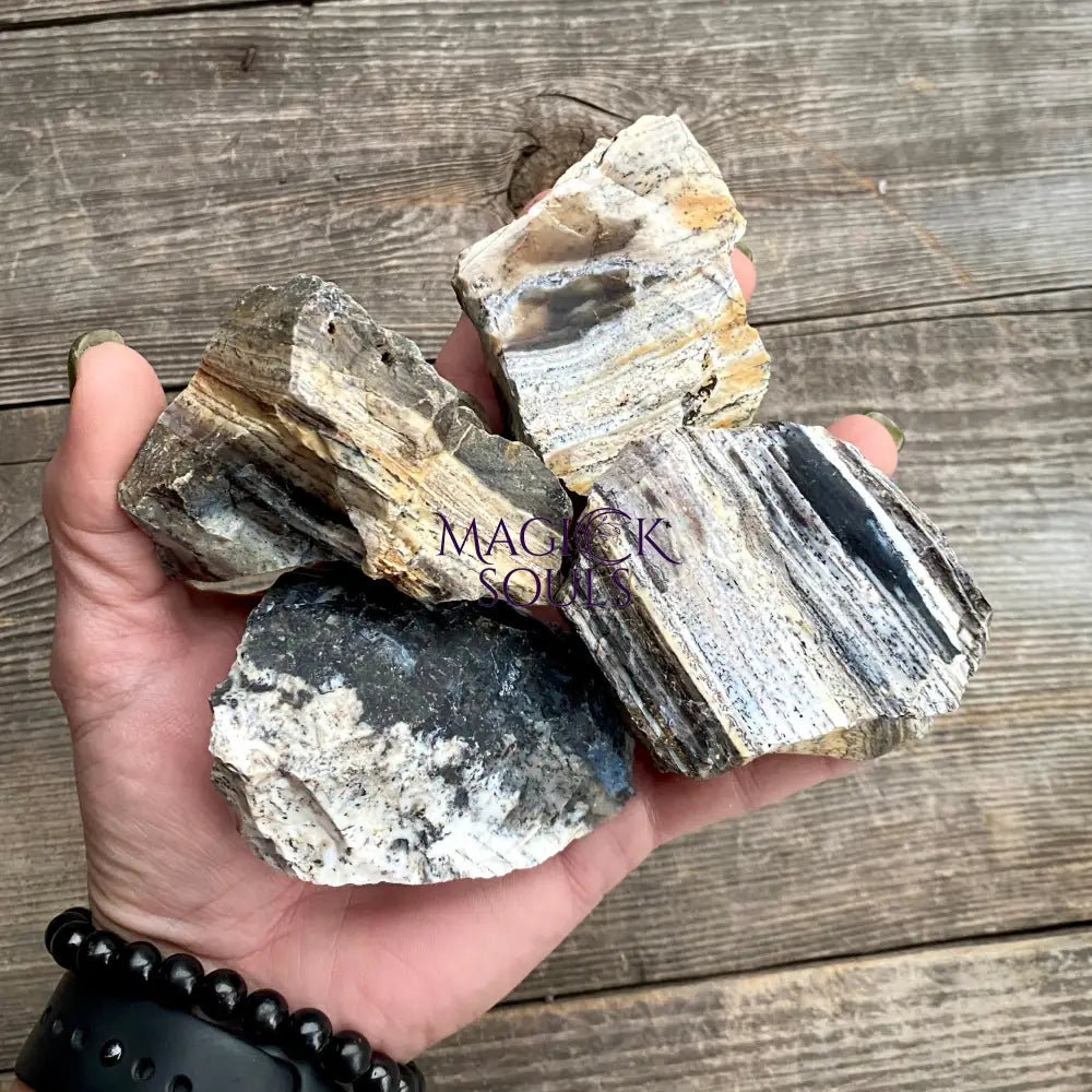 Large Natural Black Madagascar Opal | Crystal Specimens & Minerals | Wiccan Center