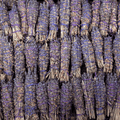 Lavender Sage Herb Wands