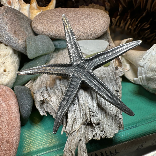 Starfish Brooch | Brooch | Wiccan Center