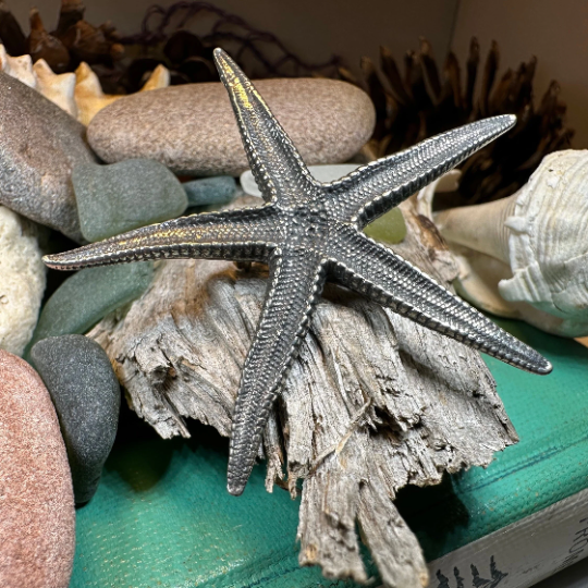 Starfish Brooch | Brooch | Wiccan Center
