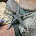 Starfish Brooch | Brooch | Wiccan Center