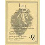 Zodiac Parchment Posters (8.5" x 11") | Poster | Wiccan Center