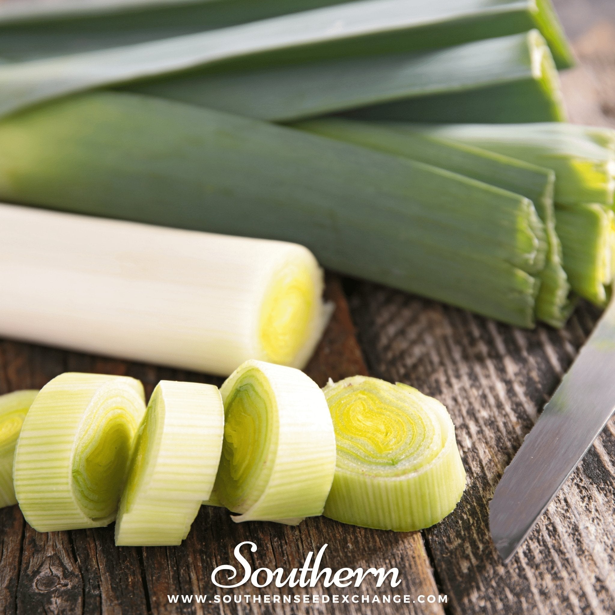 Giant Musselburgh Leek – 200 Seeds | | Wiccan Center