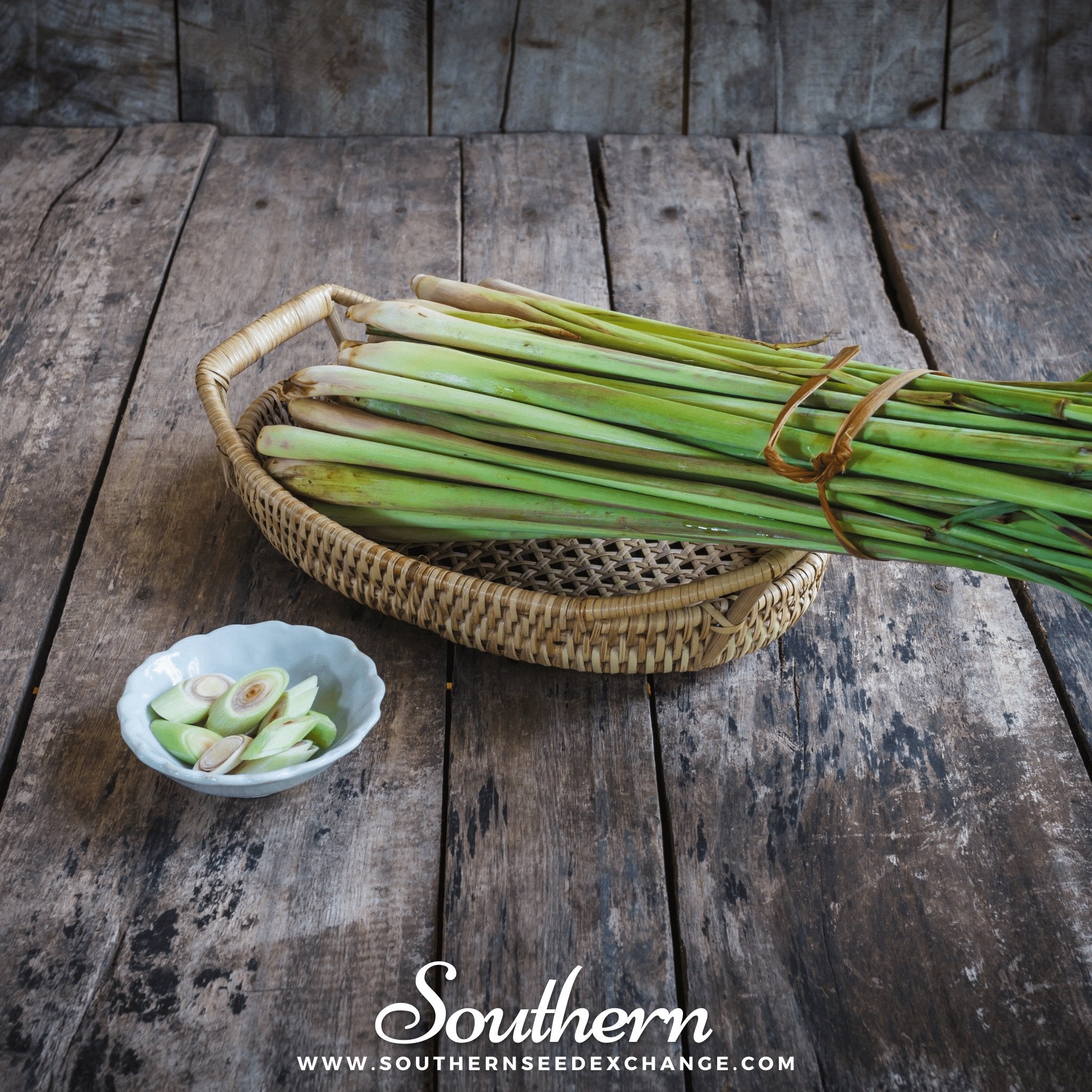 Lemon Grass – 100 Seeds | Seeds | Wiccan Center