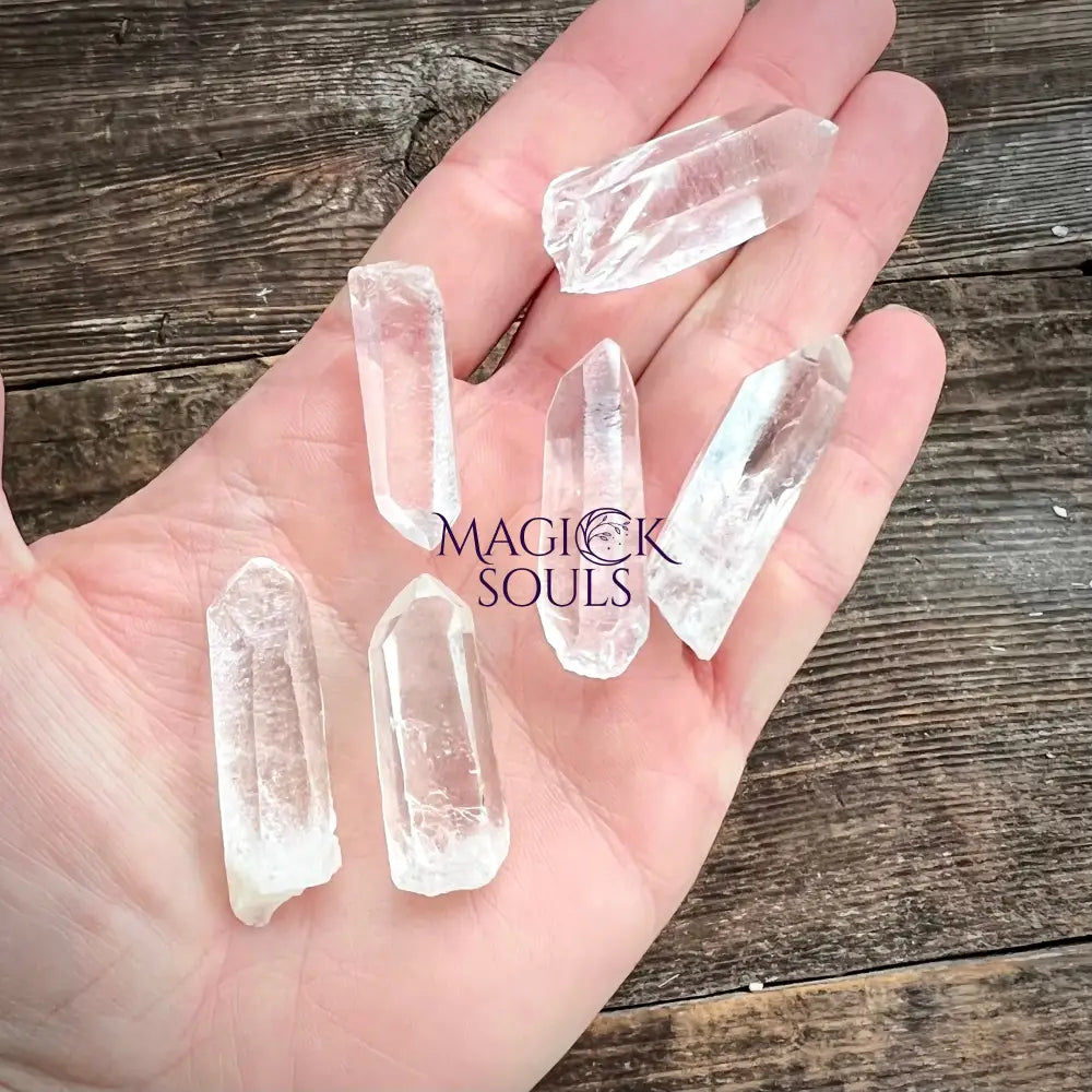 Lemurian Seed Clear Quartz Point — High Vibration Crystal for Past Life & Soul Work | Crystal Specimens & Minerals | Wiccan Center