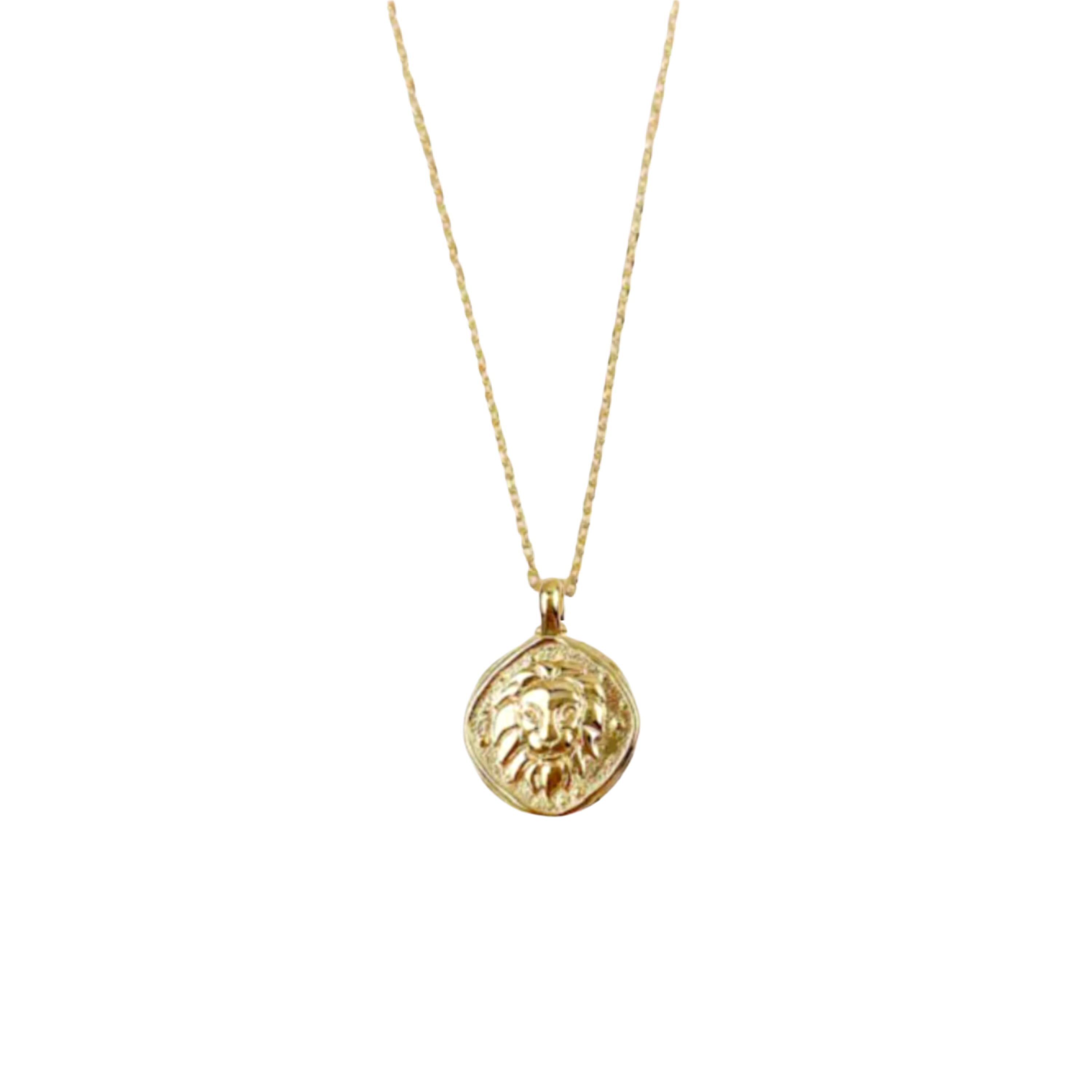 Zodiac Coin Necklace