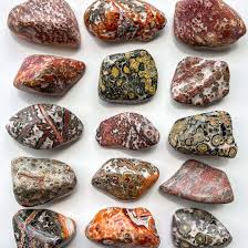 Leopardskin Jasper A Tumbled | Tumbled Gemstone | Wiccan Center