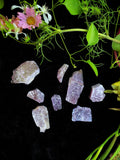 Lepidolite (Purple) - Raw Mica Slices | Crystals | Wiccan Center