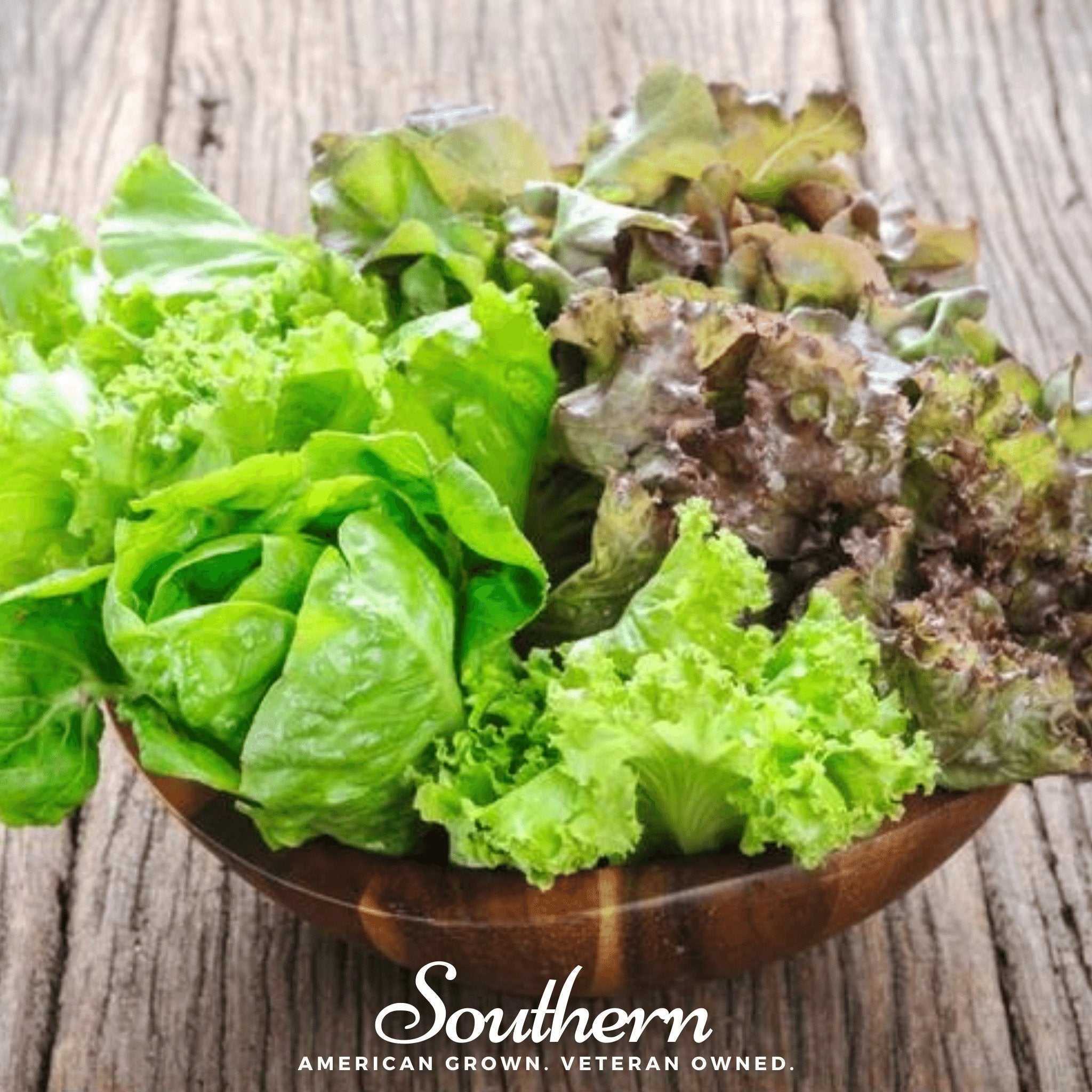 Bibb Summer Lettuce – 500 Seeds | Seeds | Wiccan Center