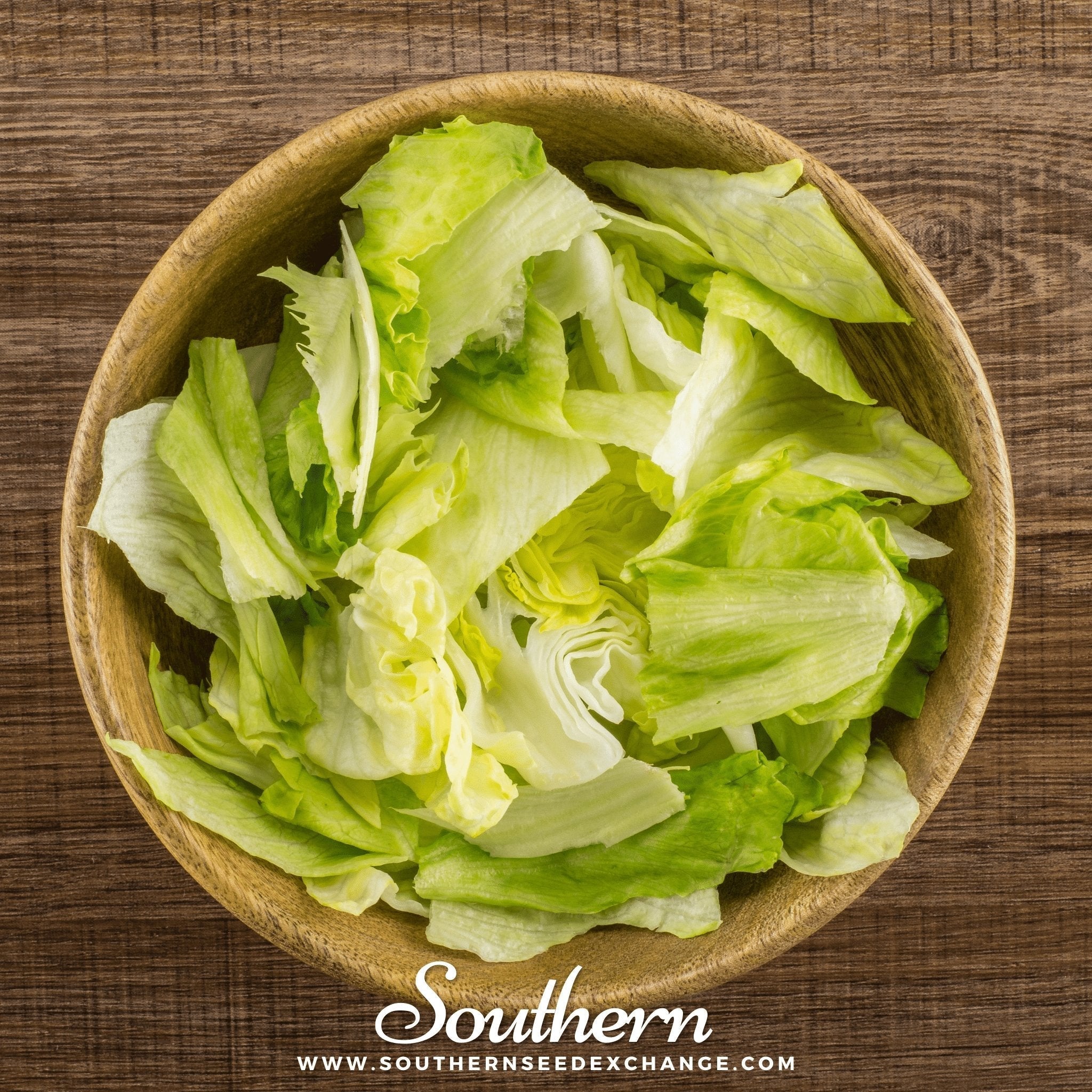 Iceberg Lettuce – 500 Seeds | Seeds | Wiccan Center