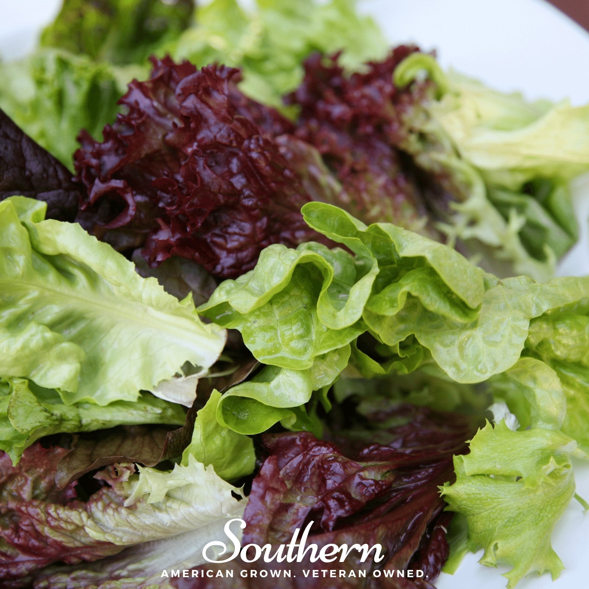 Mesclun Mix Lettuce – 500 Seeds | Seeds | Wiccan Center