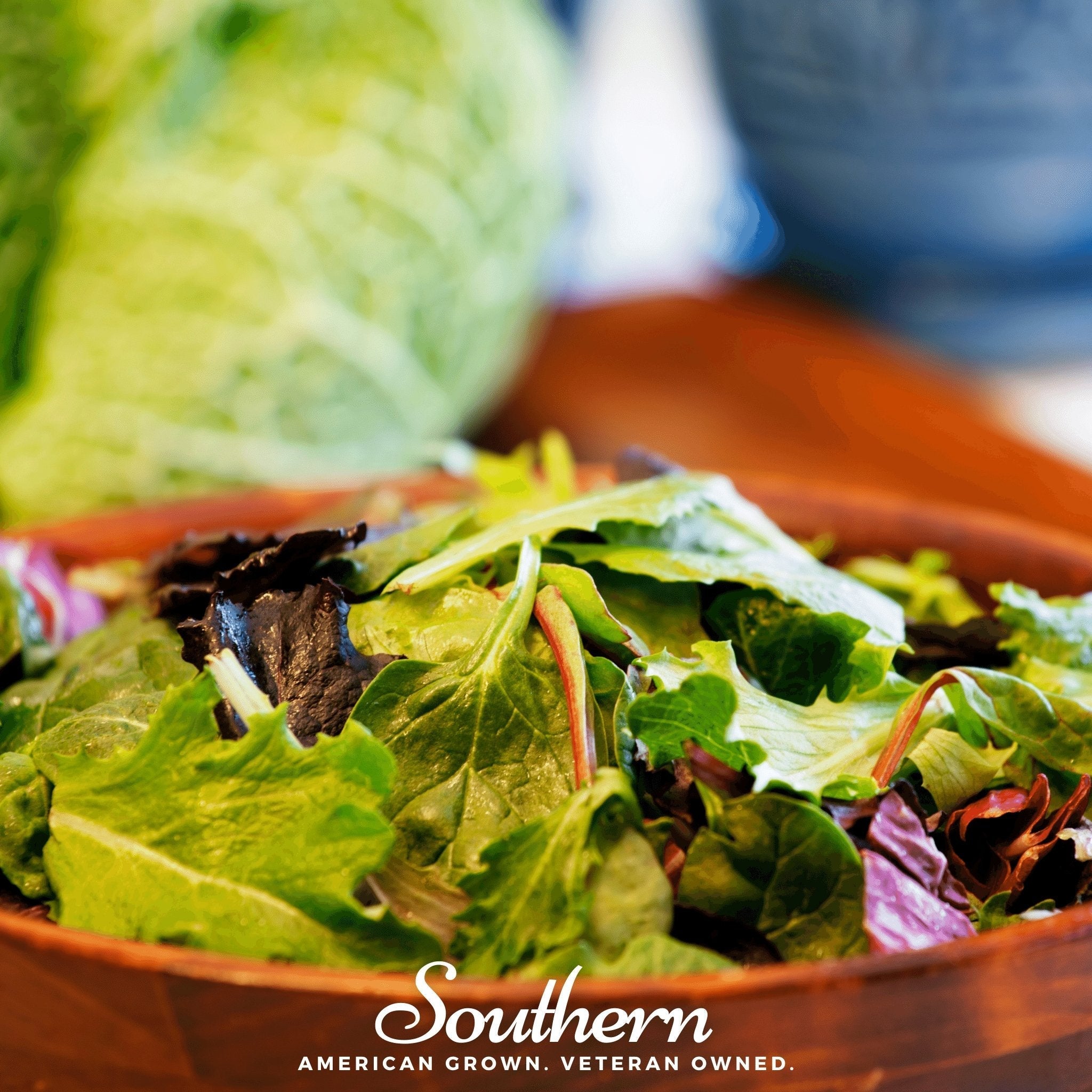 Mesclun Mix Lettuce – 500 Seeds | Seeds | Wiccan Center