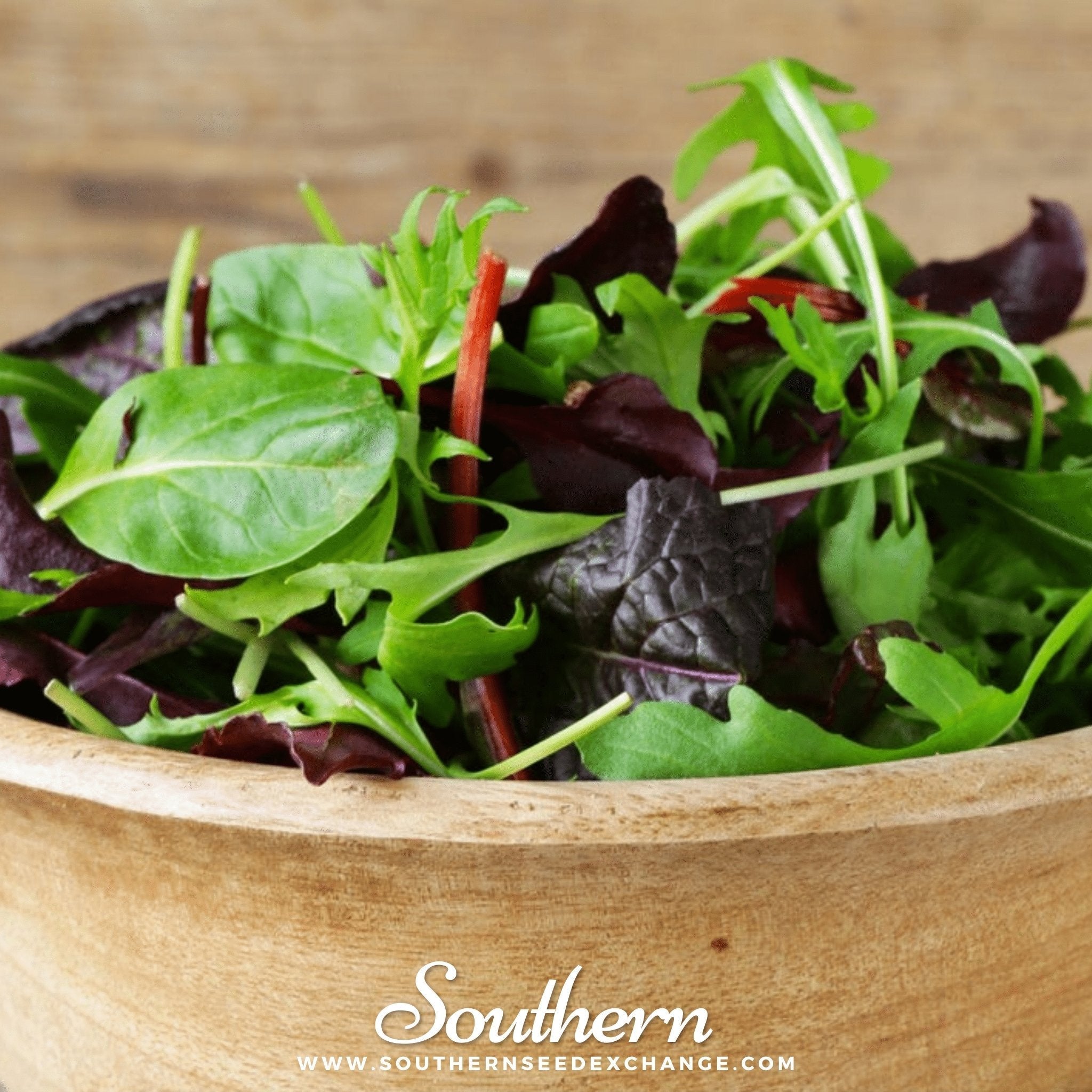 Gourmet Mix Lettuce – 500 Seeds | | Wiccan Center