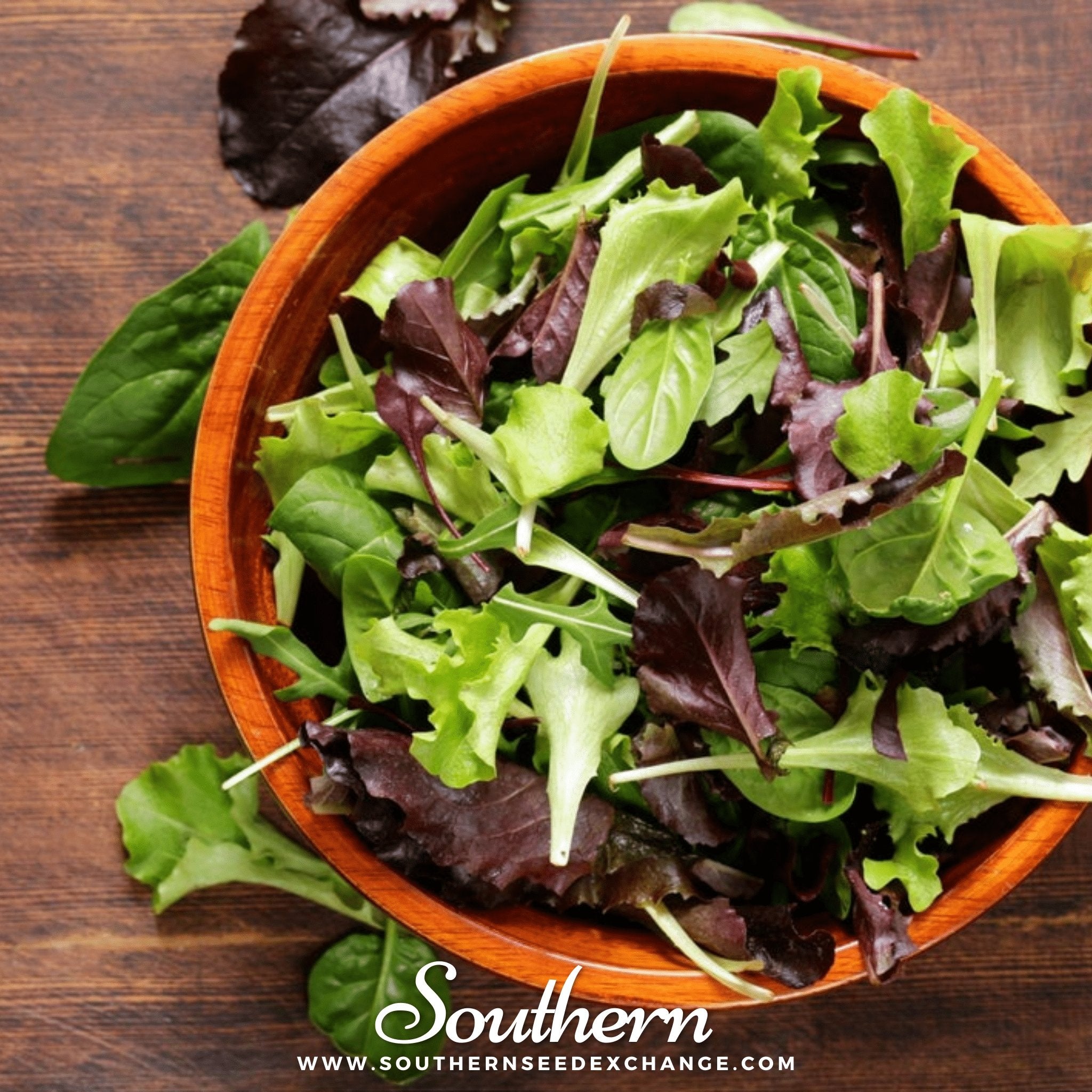 Gourmet Mix Lettuce – 500 Seeds | | Wiccan Center