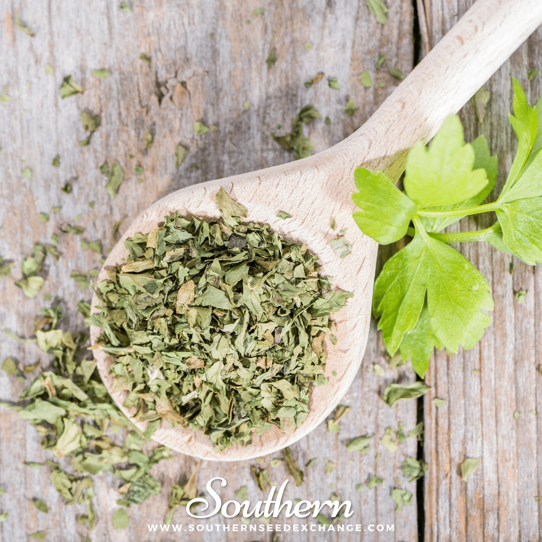 Lovage – 50 Seeds | | Wiccan Center