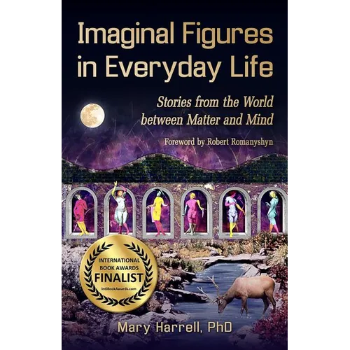 Imaginal Figures In Everyday Life: Stories from The World Between Matter And Mind - Paperback | Books | Wiccan Center