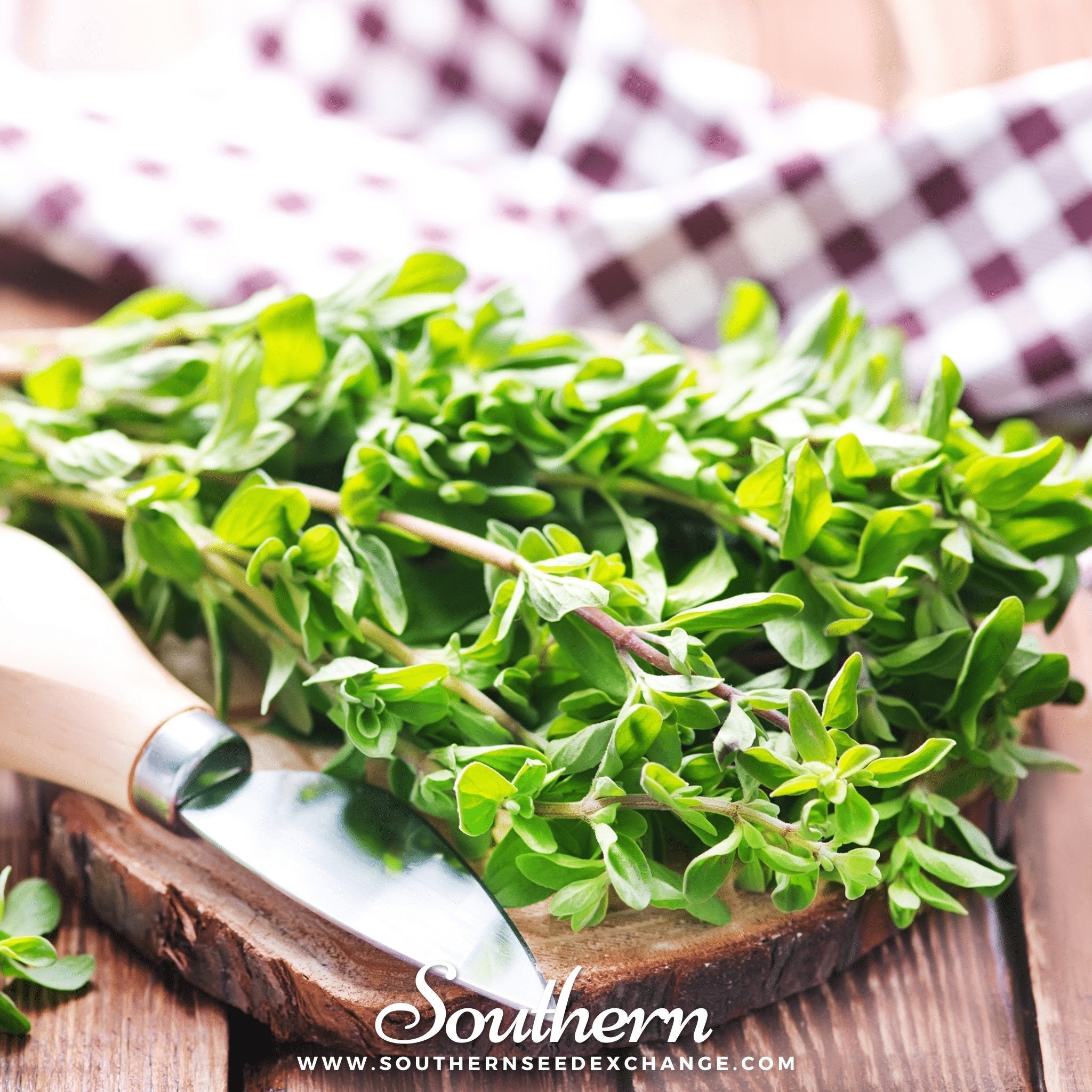 Sweet Marjoram – 100 Seeds | | Wiccan Center
