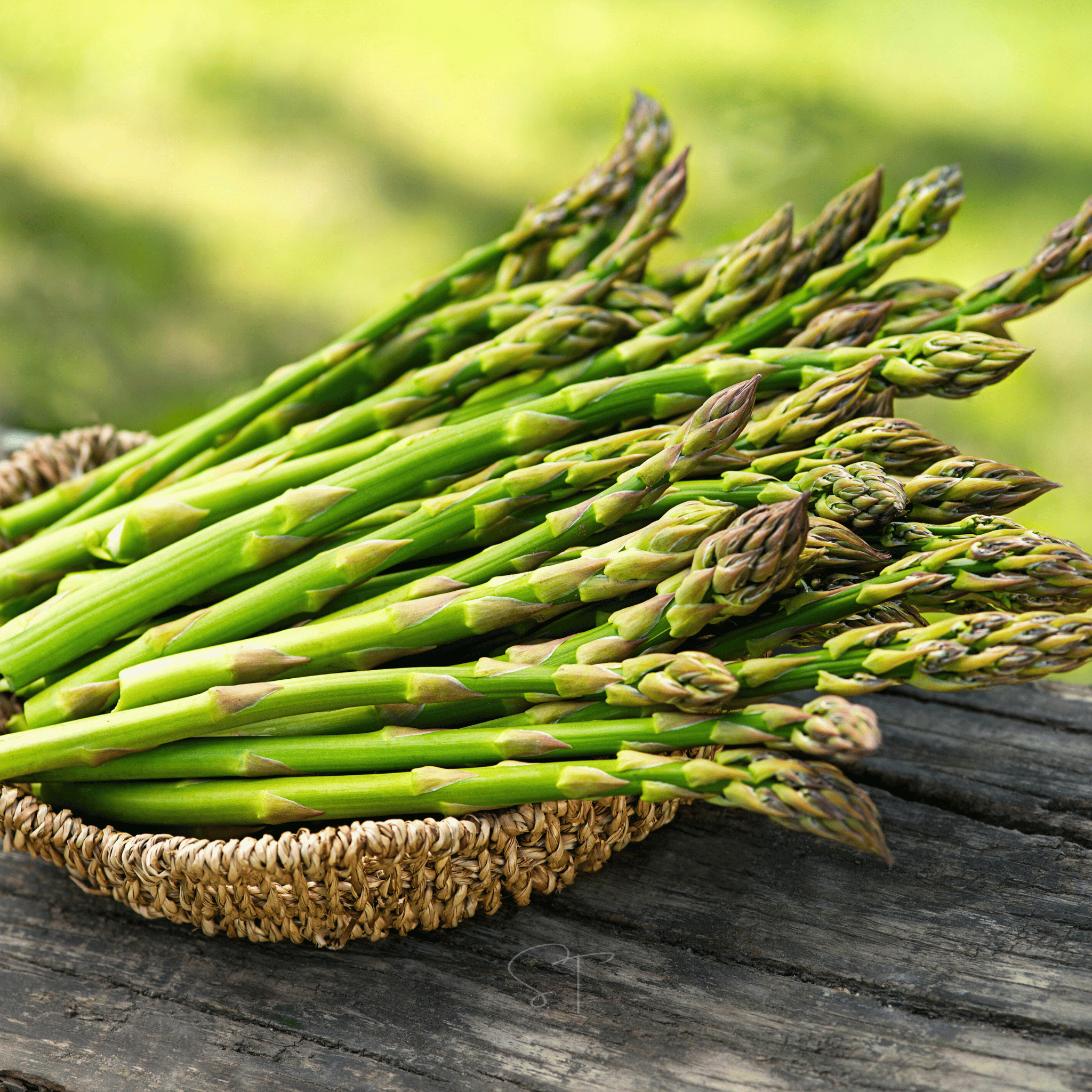 Mary Washington Asparagus – 50 Seeds | | Wiccan Center