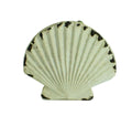 Shell Knob | Hooks & Hardware | Wiccan Center
