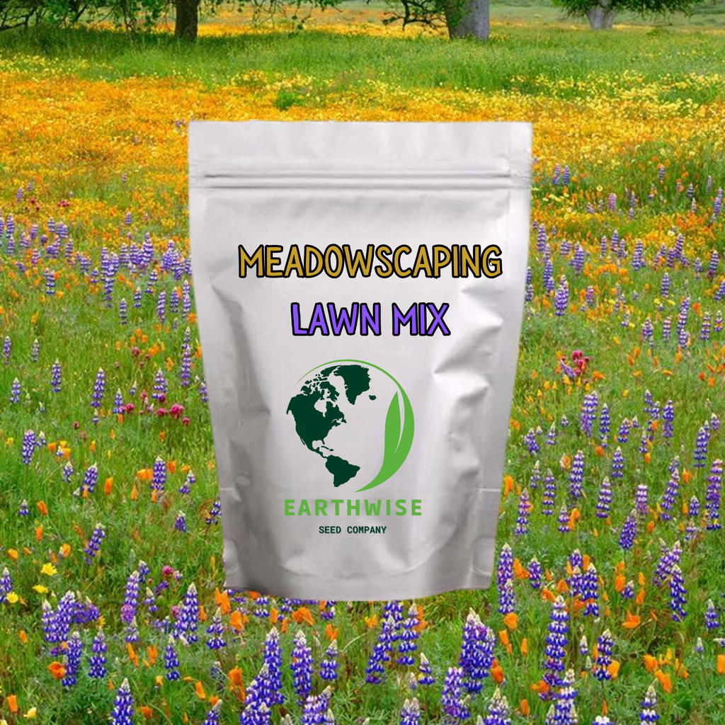 Meadowscaping Mix Alternative Lawn Seed — for Low-Maintenance, Eco-Friendly Lawns | | Wiccan Center