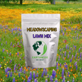 Meadowscaping Mix Alternative Lawn Seed — for Low-Maintenance, Eco-Friendly Lawns | | Wiccan Center