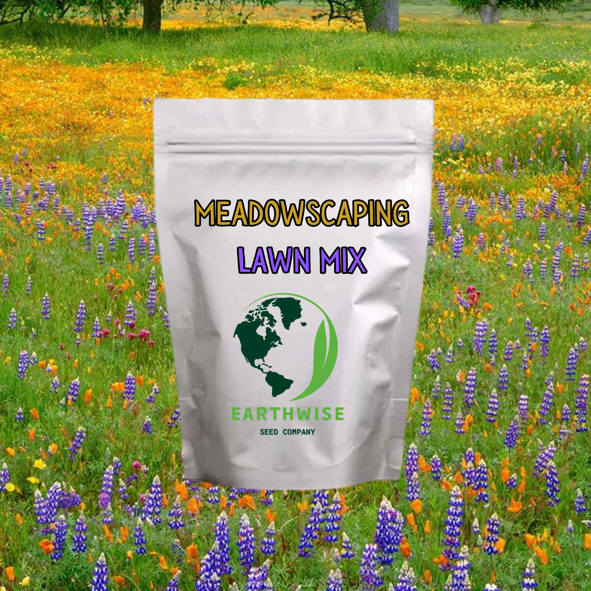 Meadowscaping Mix Alternative Lawn Seed — for Low-Maintenance, Eco-Friendly Lawns | | Wiccan Center