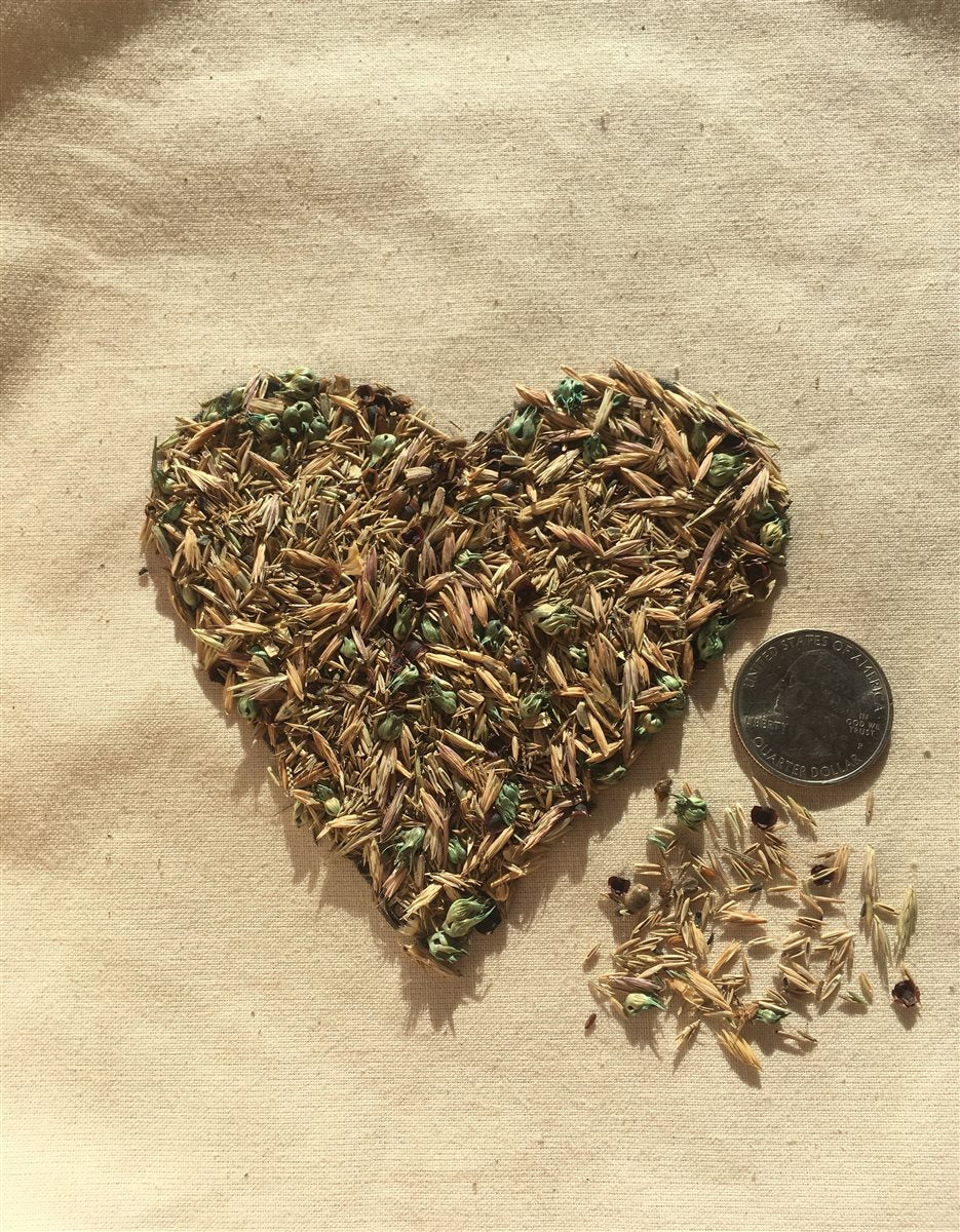 Meadowscaping Mix Alternative Lawn Seed — for Low-Maintenance, Eco-Friendly Lawns | | Wiccan Center