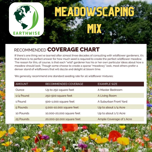 Meadowscaping Mix Alternative Lawn Seed — for Low-Maintenance, Eco-Friendly Lawns | | Wiccan Center