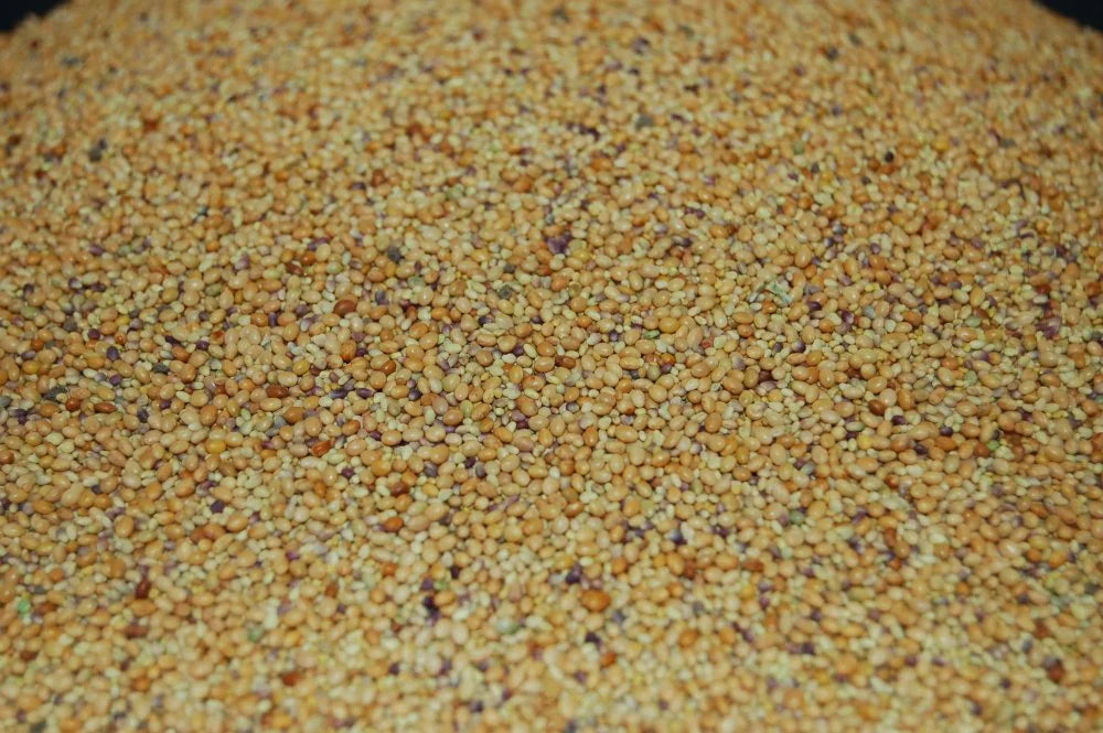 Tri-Clover - Red, White, & Crimson Clovers - Alternative Lawn Seed | | Wiccan Center