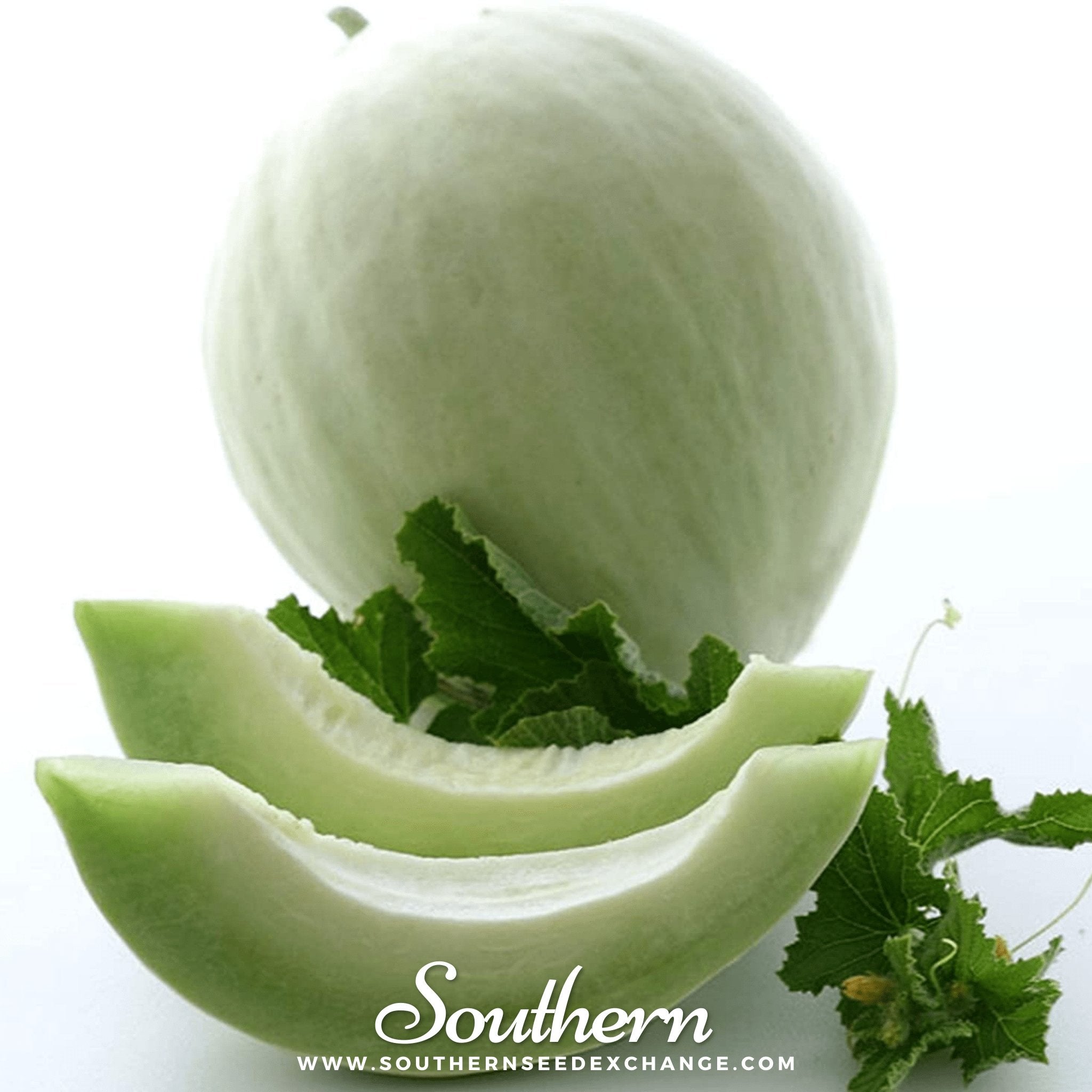 Green Flesh Honeydew Melon – 20 Seeds | Seeds | Wiccan Center