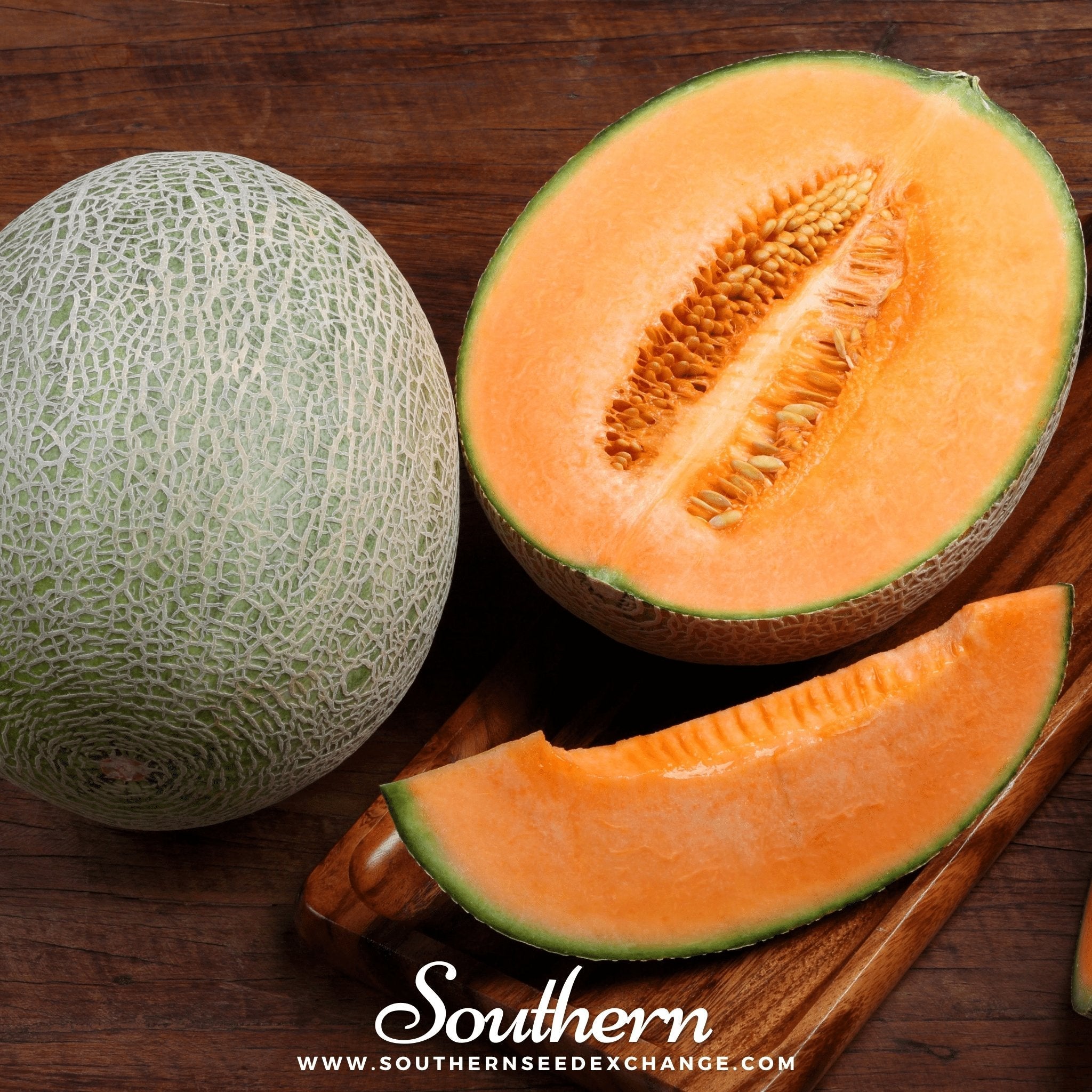 Hales Best Jumbo Cantaloupe – 50 Seeds | | Wiccan Center