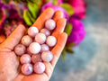 Mini Pink Kunzite Spheres, Crystals and Stones, Pink Kunzite Marble