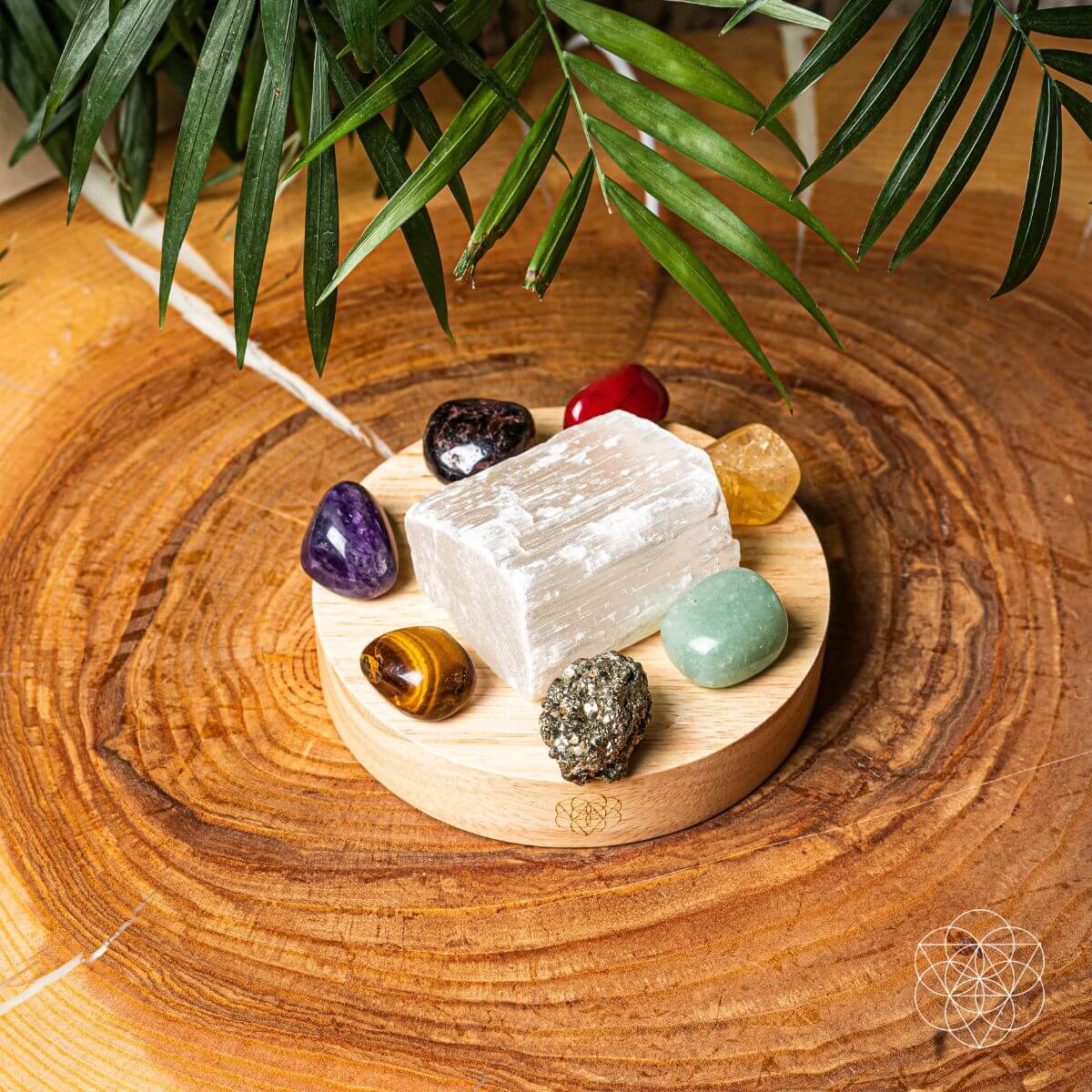 Money-Magnet Lamp | Home Decoration | Wiccan Center