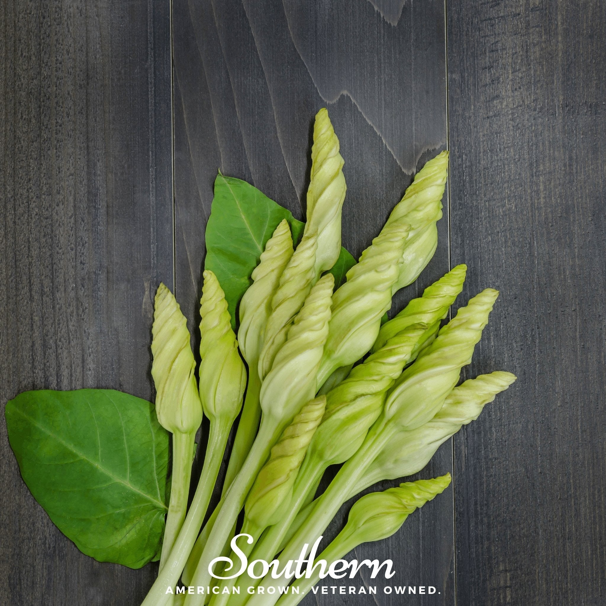 Moonflower – 25 Seeds | | Wiccan Center