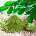 Moringa – 10 Seeds | Seeds | Wiccan Center