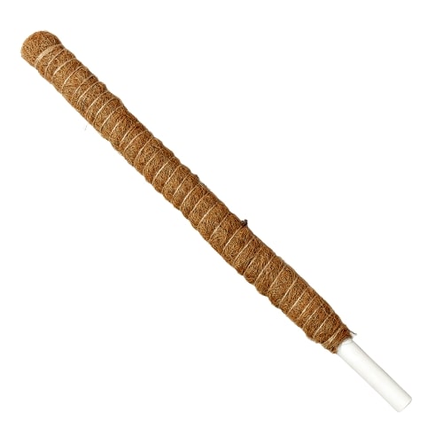 Moss Pole - 22in. | | Wiccan Center