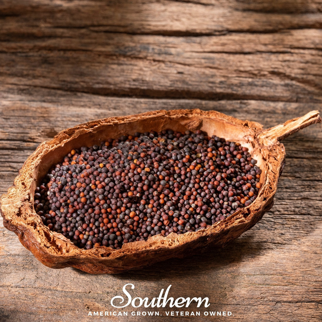 Black Mustard – 500 Seeds | | Wiccan Center