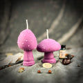 Mystical Mushroom Duo Candle Spell Kit - Forest Wisdom & Shadow Work Magic | Candle Spell Kit | Wiccan Center