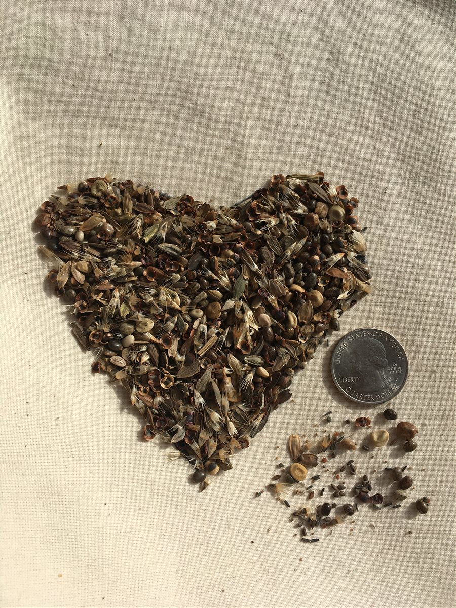 No Deer Here Wildflower Mix - Unsavory Species to Deer! | | Wiccan Center