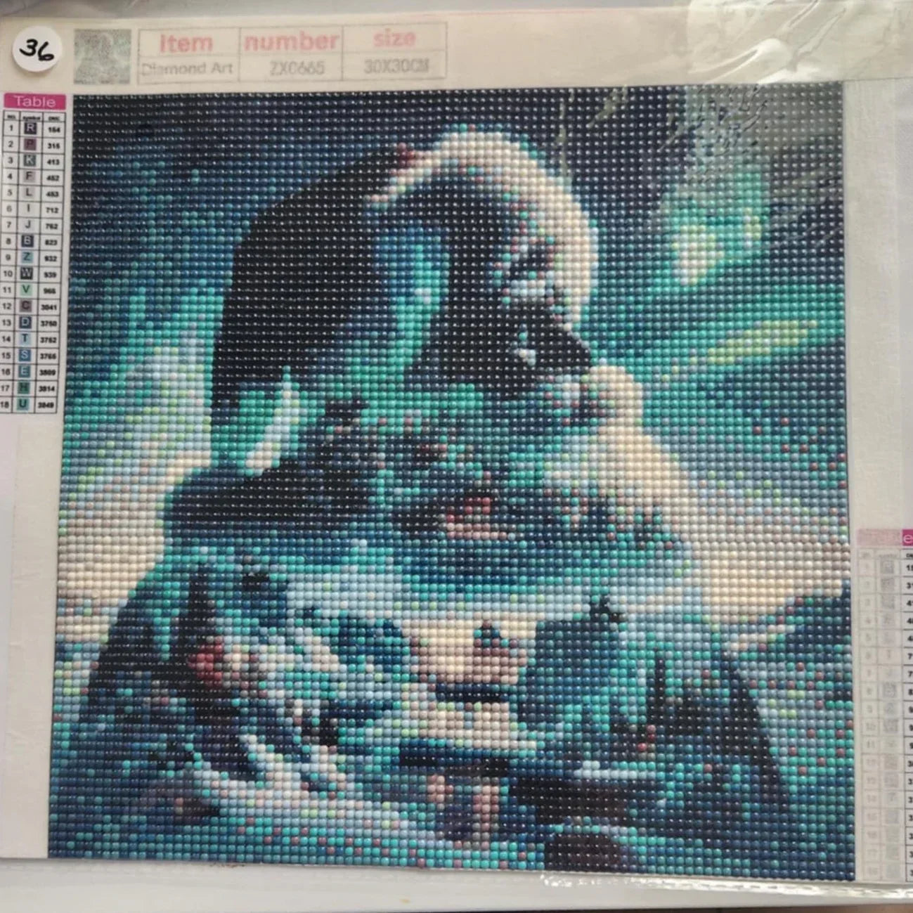 Diamond Art 30 x 30 cm Pictures