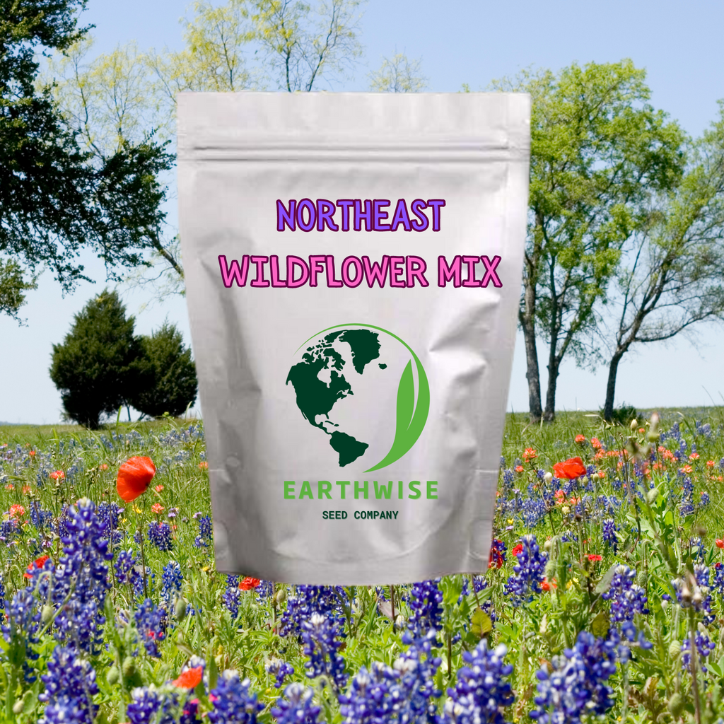 Northeast Native & Naturalized Wildflower Mix | | Wiccan Center