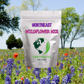 Northeast Native & Naturalized Wildflower Mix | | Wiccan Center