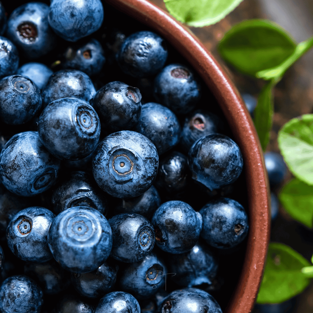 Northern Highbush Blueberry – 50 Seeds | | Wiccan Center
